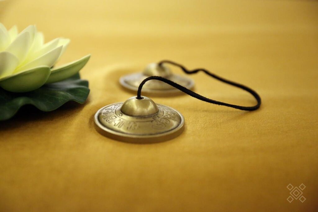 13048225 1538125576489343 5652586491590053891 o