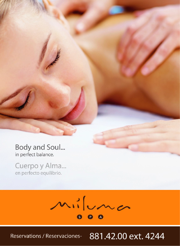 mini display 4 1baja